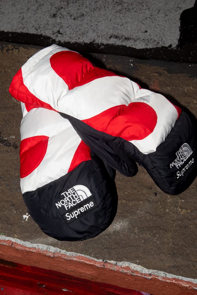 Supreme x The North Face FW20 – OVERSTANDARD – Culture & Creativity